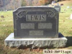 Andrew J Lewis