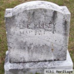 Lewis E Kinsey