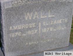 Ambrose G Wall