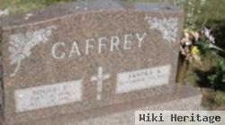 Roger F Caffrey