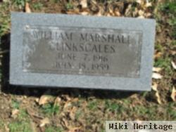 William Marshall "billy" Clinkscales