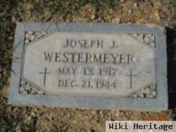 Joseph J Westermeyer