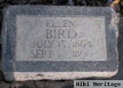 Ellen Bird