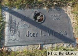 Joey L. "joe" Wisdom