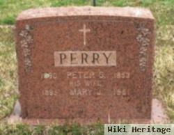 Peter S Perry