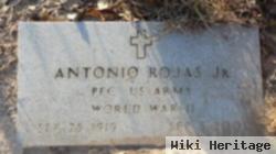 Antonio Rojas, Jr