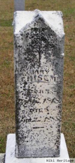 Mary Chisem