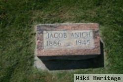 Jacob R Anich