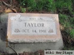 Infant Girl Taylor