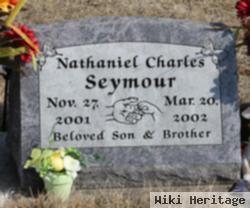 Nathaniel Charles Seymour