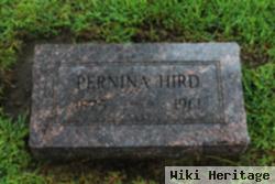 Pernina Hird