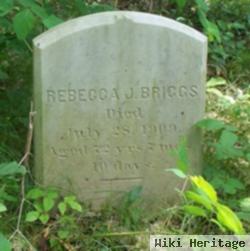 Rebecca J Briggs