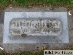 Albert M Frost