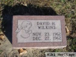 David H. Wilkins