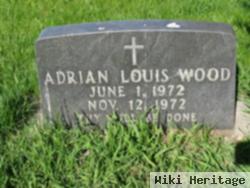 Adrian Louis Wood