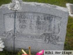Mary Louise Burkett