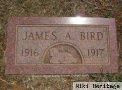 James Anders Bird