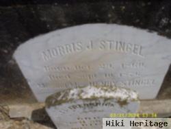 Morris J Stingel