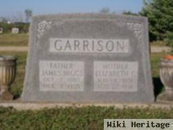 James Higgs Garrison