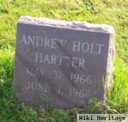 Andrew Holt Hartter