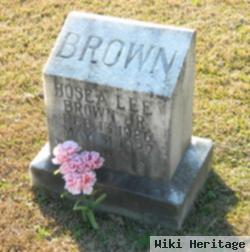 Hosea Lee Brown, Jr