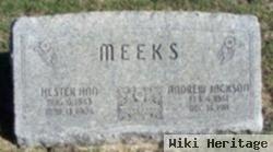 Hester Ann Burnett Meeks