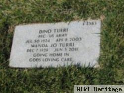 Dino Turri