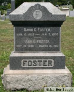 Ann E. Foster