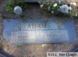 David Adams