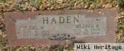 Joel W Haden