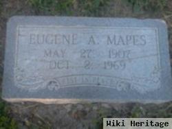 Eugene Allen Mapes