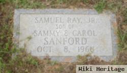 Samuel Ray Sanford, Jr