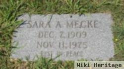 Sara A Mecke