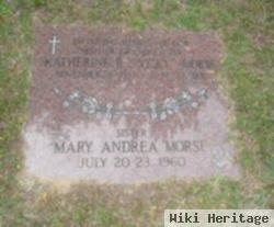 Mary Andrea Morse