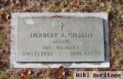 Herbert A Gilman