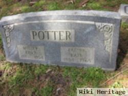 Earl Gilbert Potter