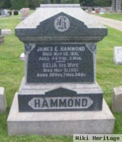 James E Hammond