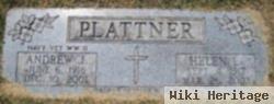 Helen L Oliver Plattner