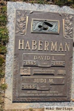 David L Haberman