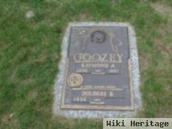 Raymond A. Goozey