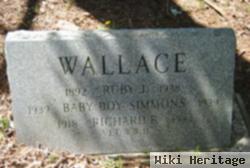 Richard B Wallace