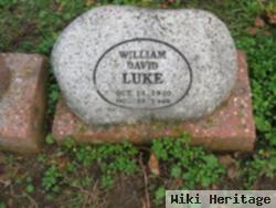 William David Luke