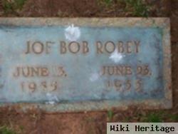 Joe Bob Robey