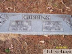 Lois Juanita Houser Gibbins