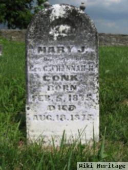 Mary J. Conk