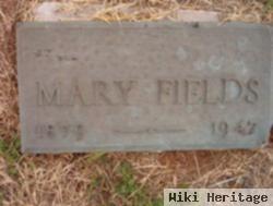 Mary M Lewis Fields