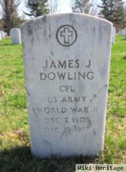 James J Dowling