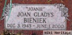 Joan Gladys "joanie" Bieniek