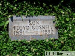 Floyd Gosnell