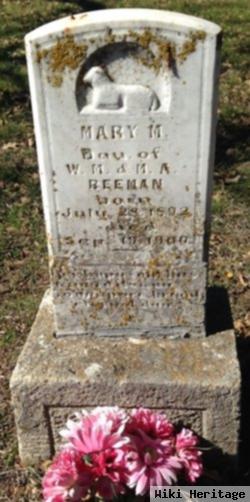 Mary M Beeman